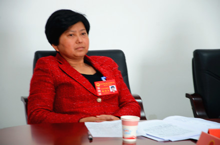 凤庆代表团召开代表团会议 _凤庆人大网 凤庆县人民会