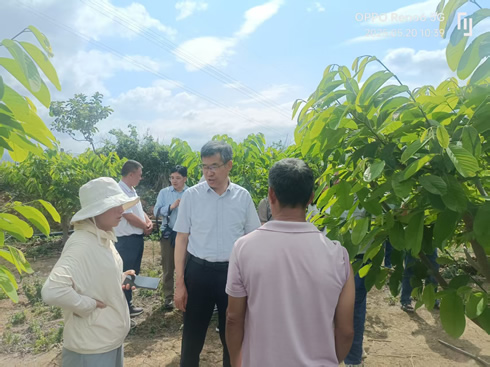 省人大常委会调研组到临沧调研华侨社区经济社会发展情况