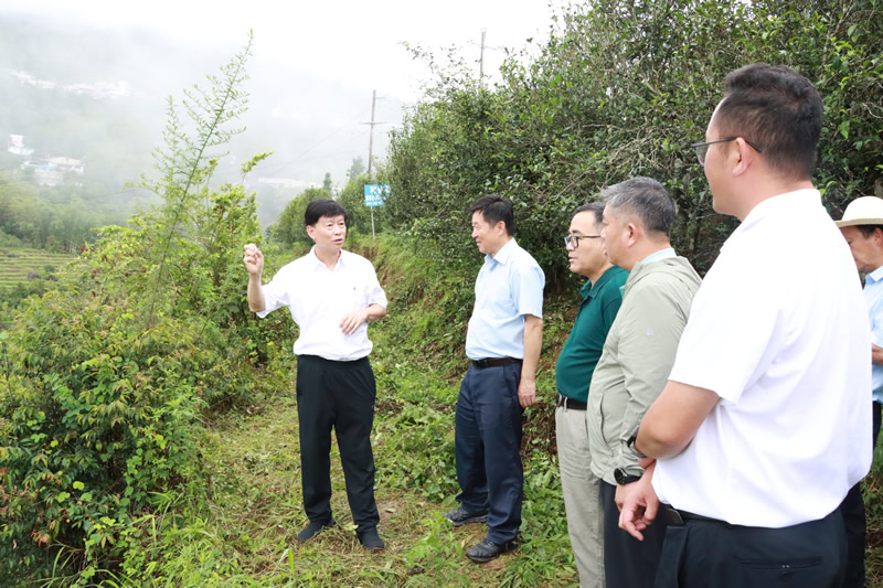 省人大常委会执法检查组到我市开展执法检查工作