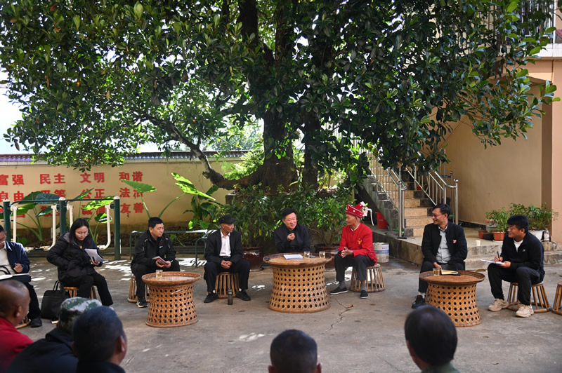 汤培远深入公坎村宣讲党的二十届四中全会精神