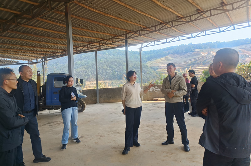 市人大常委会开展全市农村生活垃圾治理情况调研